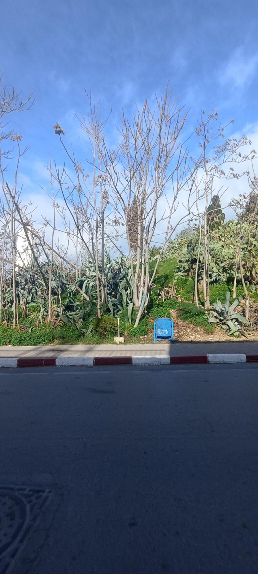Jolie Maison Au Centre De Sidi Bou Ali Zewnętrze zdjęcie